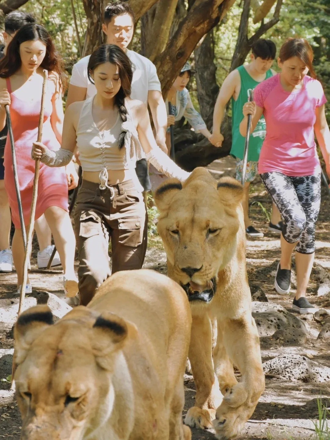 南海岸丨毛里求斯8天5晚自由行