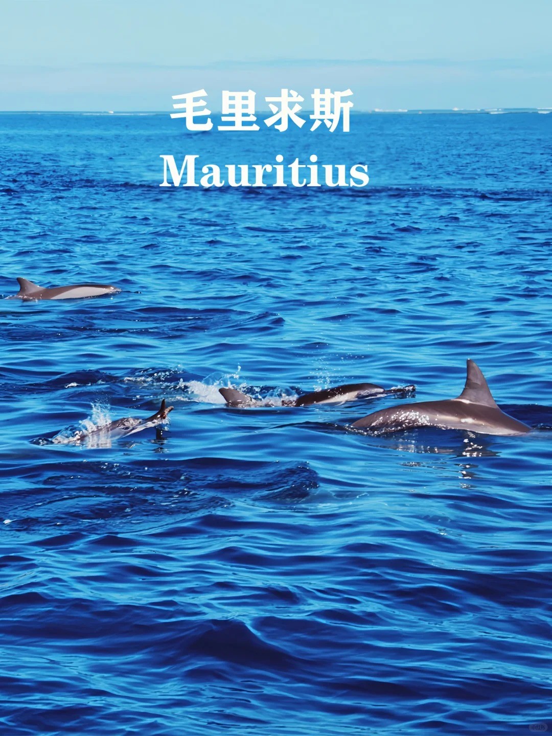 南海岸丨毛里求斯8天5晚自由行